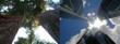 The Security and Sustainability Forum Takes on Economic Development,...